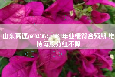 山东高速(600350)：2024年业绩符合预期 维持每股分红不降