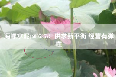 海螺水泥(600585)：供求新平衡 经营有弹性