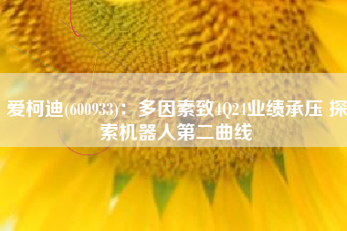 爱柯迪(600933)：多因素致4Q24业绩承压 探索机器人第二曲线
