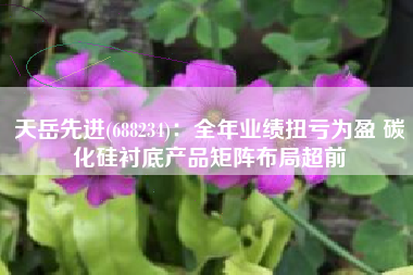 天岳先进(688234)：全年业绩扭亏为盈 碳化硅衬底产品矩阵布局超前