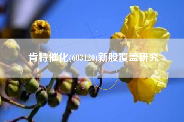肯特催化(603120)新股覆盖研究