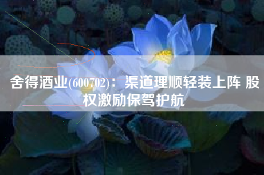 舍得酒业(600702)：渠道理顺轻装上阵 股权激励保驾护航