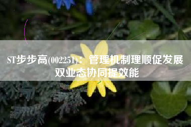 ST步步高(002251)：管理机制理顺促发展 双业态协同提效能