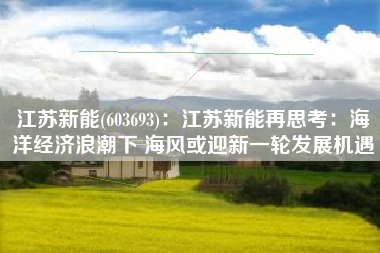 江苏新能(603693)：江苏新能再思考：海洋经济浪潮下 海风或迎新一轮发展机遇
