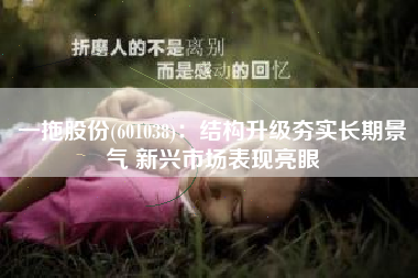 一拖股份(601038)：结构升级夯实长期景气 新兴市场表现亮眼