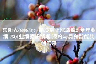 东阳光(600673)：制冷剂上涨增厚24全年业绩 25Q1业绩略超预期 液冷与具身智能共创未来