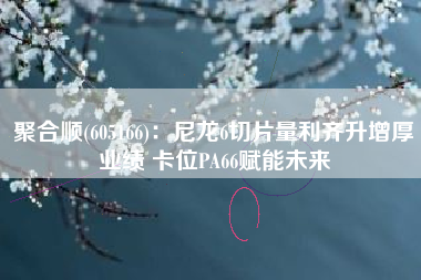 聚合顺(605166)：尼龙6切片量利齐升增厚业绩 卡位PA66赋能未来
