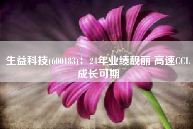 生益科技(600183)：24年业绩靓丽 高速CCL成长可期