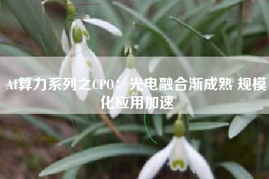 AI算力系列之CPO：光电融合渐成熟 规模化应用加速