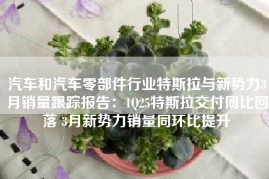 汽车和汽车零部件行业特斯拉与新势力3月销量跟踪报告：1Q25特斯拉交付同比回落 3月新势力销量同环比提升