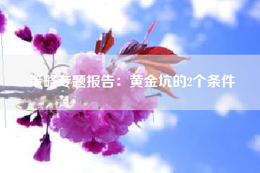 策略专题报告：黄金坑的2个条件