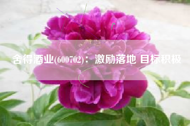 舍得酒业(600702)：激励落地 目标积极