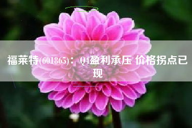 福莱特(601865)：Q4盈利承压 价格拐点已现