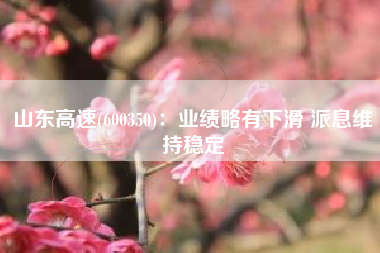 山东高速(600350)：业绩略有下滑 派息维持稳定