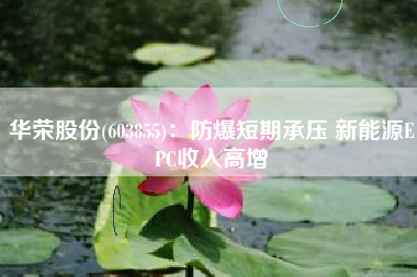 华荣股份(603855)：防爆短期承压 新能源EPC收入高增