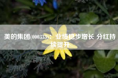 美的集团(000333)：业绩稳步增长 分红持续提升