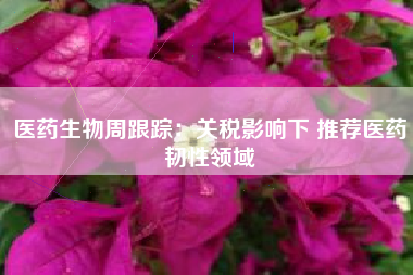 医药生物周跟踪：关税影响下 推荐医药韧性领域