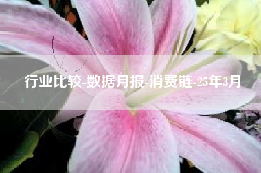 行业比较-数据月报-消费链-25年3月