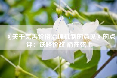 《关于完善价格治理机制的意见》的点评：铁路价改 箭在弦上