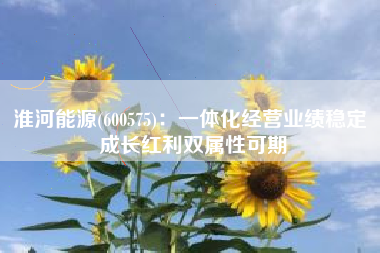 淮河能源(600575)：一体化经营业绩稳定 成长红利双属性可期