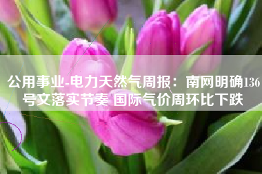 公用事业-电力天然气周报：南网明确136号文落实节奏 国际气价周环比下跌
