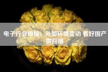 电子行业周报：外部环境变动 看好国产供应链
