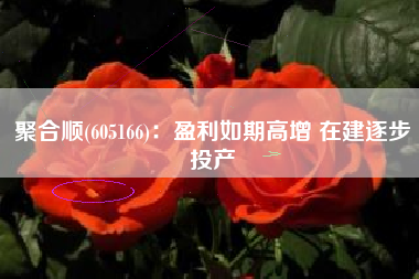 聚合顺(605166)：盈利如期高增 在建逐步投产