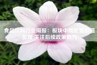 食品饮料行业周报：板块中期配置价值显现 关注后续政策助力