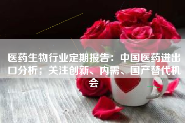 医药生物行业定期报告：中国医药进出口分析；关注创新、内需、国产替代机会