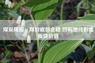 煤炭周报：煤价底部企稳 回购增持彰显板块价值