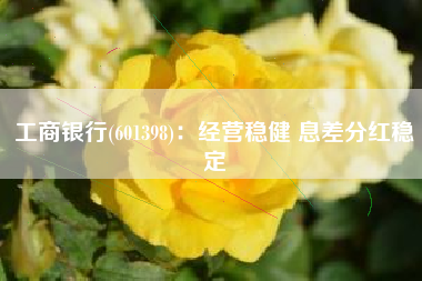 工商银行(601398)：经营稳健 息差分红稳定