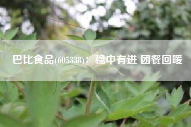 巴比食品(605338)：稳中有进 团餐回暖