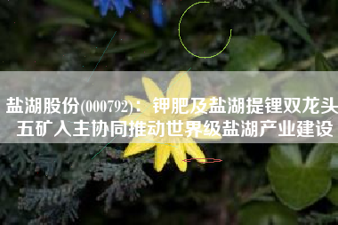 盐湖股份(000792)：钾肥及盐湖提锂双龙头 五矿入主协同推动世界级盐湖产业建设