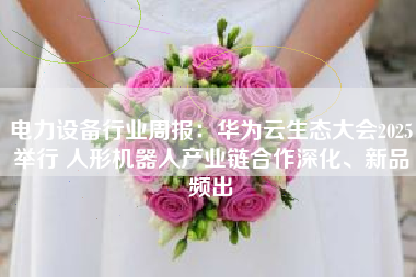 电力设备行业周报：华为云生态大会2025举行 人形机器人产业链合作深化、新品频出