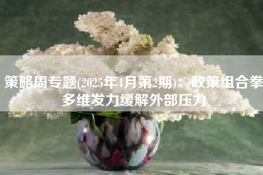 策略周专题(2025年4月第2期)：政策组合拳多维发力缓解外部压力