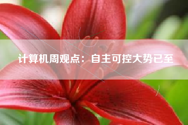 计算机周观点：自主可控大势已至