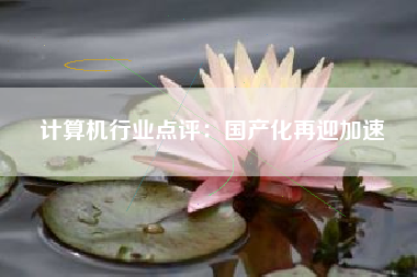 计算机行业点评：国产化再迎加速