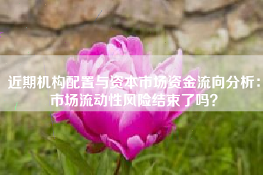 近期机构配置与资本市场资金流向分析：市场流动性风险结束了吗？