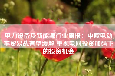 电力设备及新能源行业周报：中欧电动车贸易战有望缓解 重视电网投资加码下的投资机会