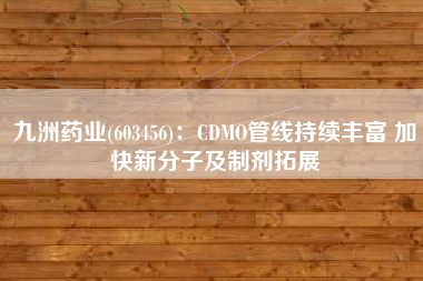 九洲药业(603456)：CDMO管线持续丰富 加快新分子及制剂拓展