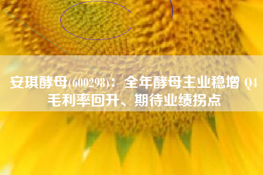 安琪酵母(600298)：全年酵母主业稳增 Q4毛利率回升、期待业绩拐点