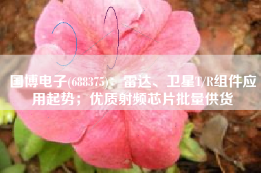 国博电子(688375)：雷达、卫星T/R组件应用起势；优质射频芯片批量供货