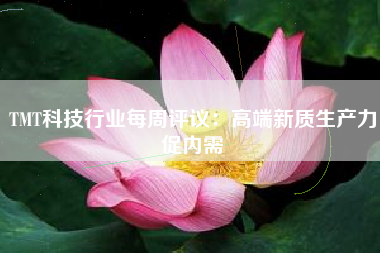 TMT科技行业每周评议：高端新质生产力促内需