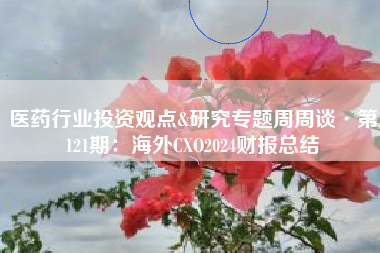 医药行业投资观点&研究专题周周谈·第121期：海外CXO2024财报总结