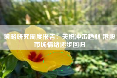 策略研究周度报告：关税冲击趋弱 港股市场情绪逐步回归