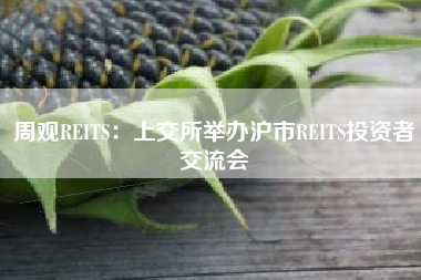 周观REITS：上交所举办沪市REITS投资者交流会