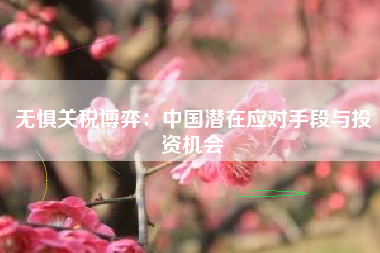 无惧关税博弈：中国潜在应对手段与投资机会
