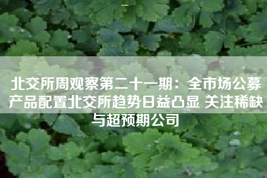 北交所周观察第二十一期：全市场公募产品配置北交所趋势日益凸显 关注稀缺与超预期公司