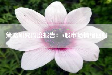 策略研究周度报告：A股市场情绪回归