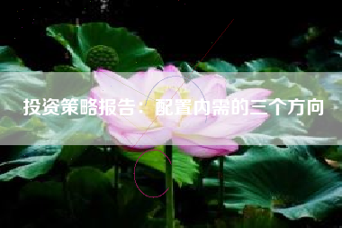 投资策略报告：配置内需的三个方向